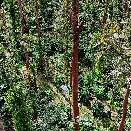 Nexstay Coffee Grove Resort Chikmagalur Exterior photo