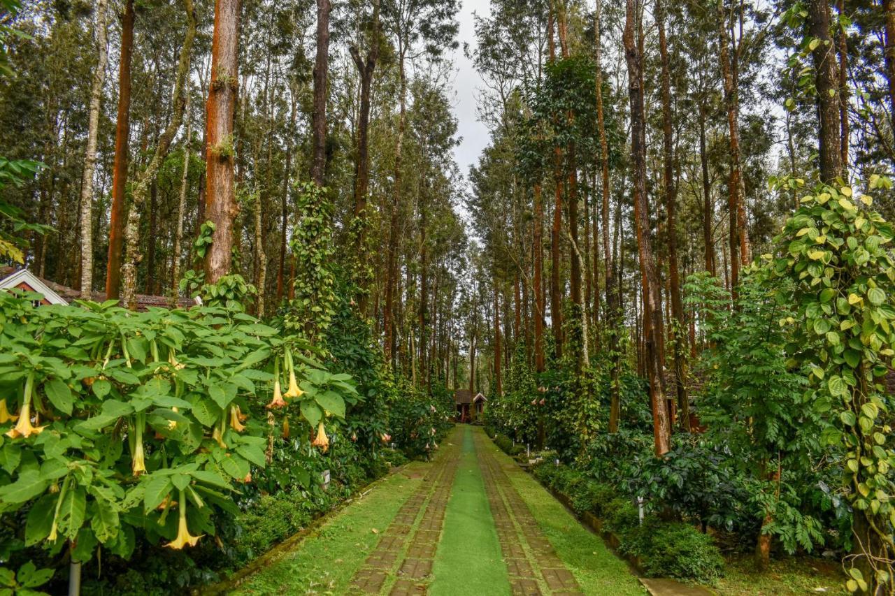 Nexstay Coffee Grove Resort Chikmagalur Exterior photo