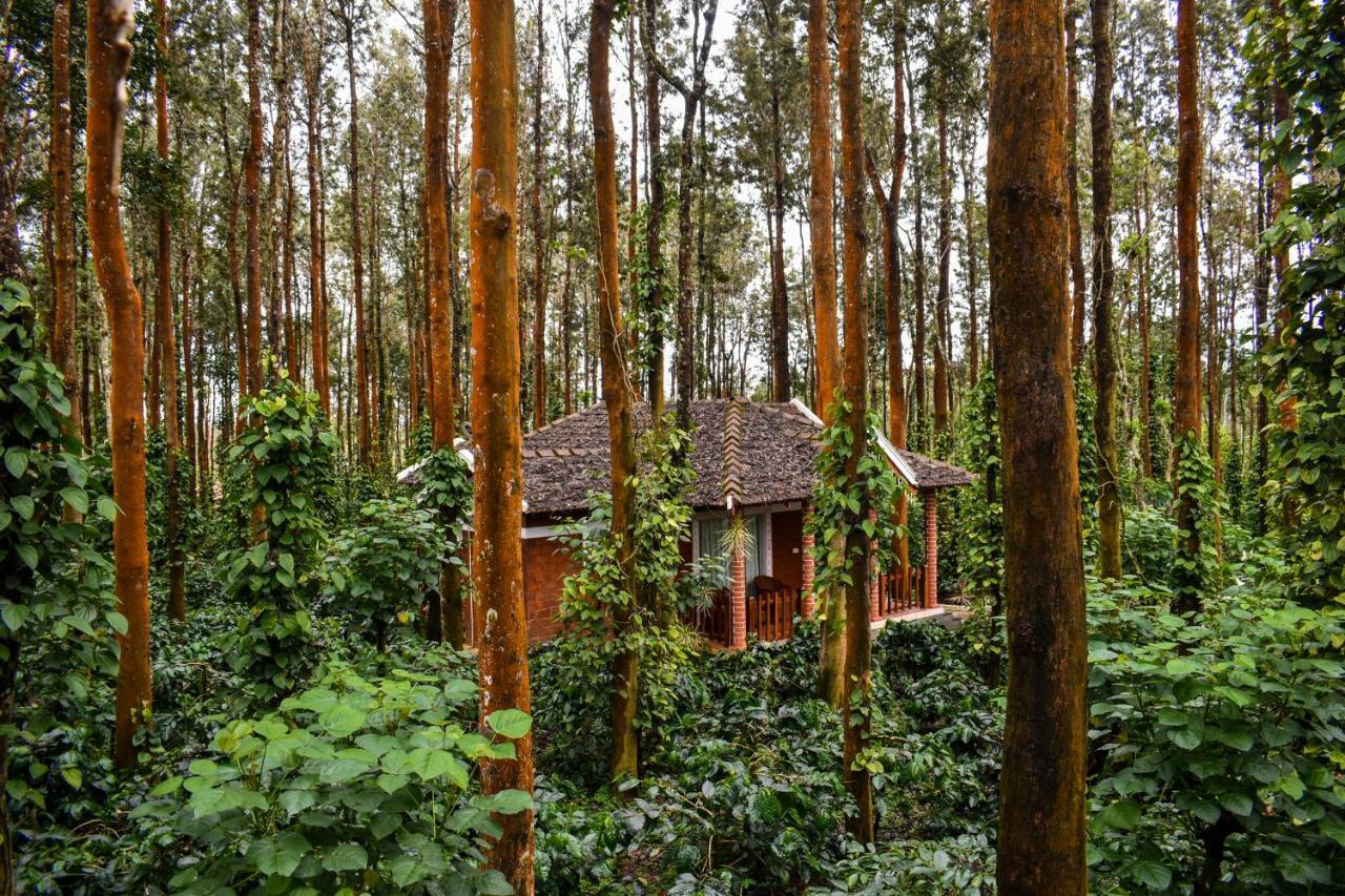 Nexstay Coffee Grove Resort Chikmagalur Exterior photo