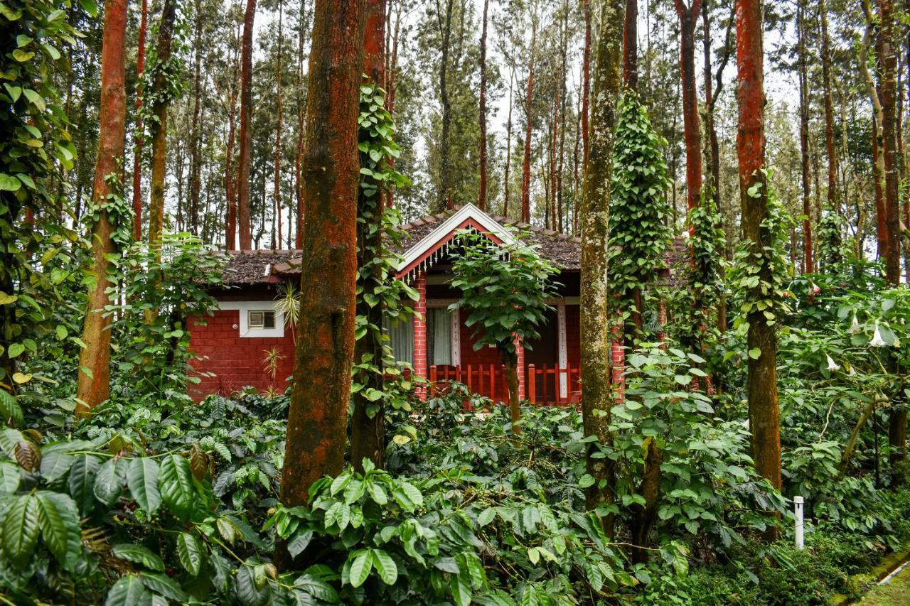 Nexstay Coffee Grove Resort Chikmagalur Exterior photo