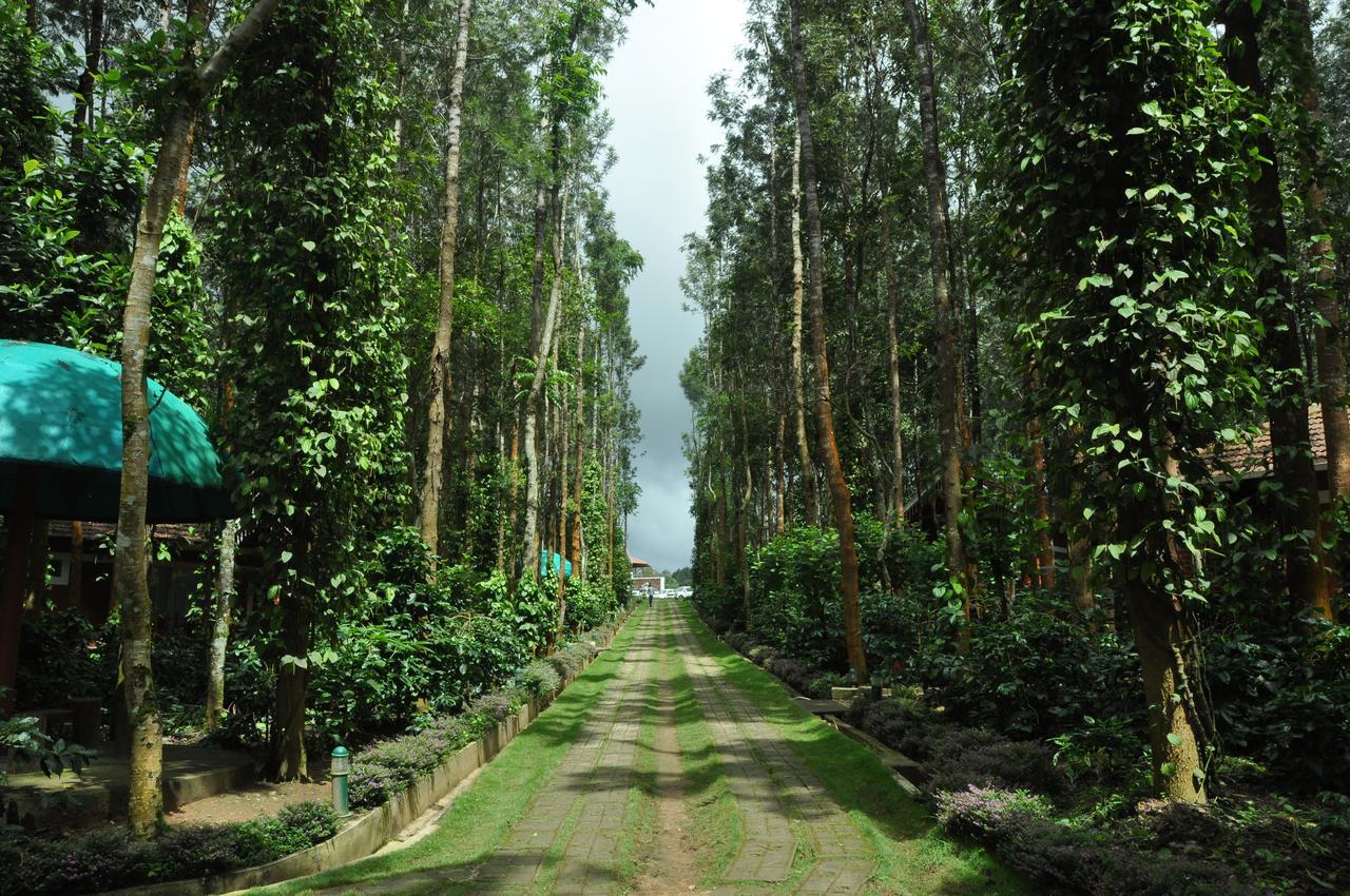 Nexstay Coffee Grove Resort Chikmagalur Exterior photo